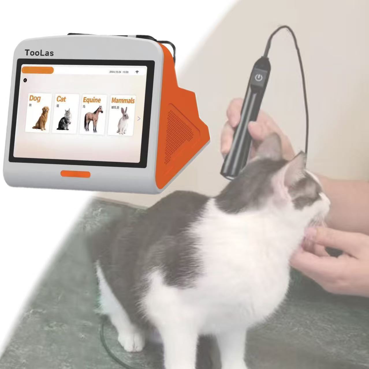 Laser Physiotherapy Therapy Device Veterinary Laser Equipment for Animal Use