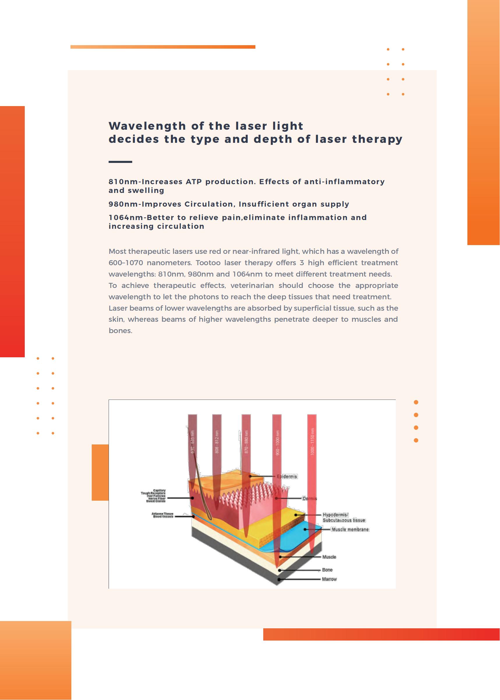 英文彩页 APOLLO Laser Therapy_03