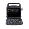 Portable Color Doppler AU-Q5