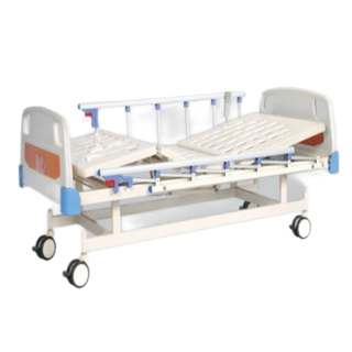 2 Function Electric Bed EB-5D