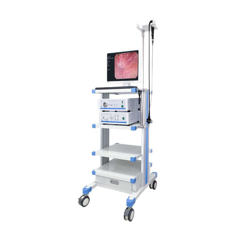 Video Cystoscope XJ-CYS