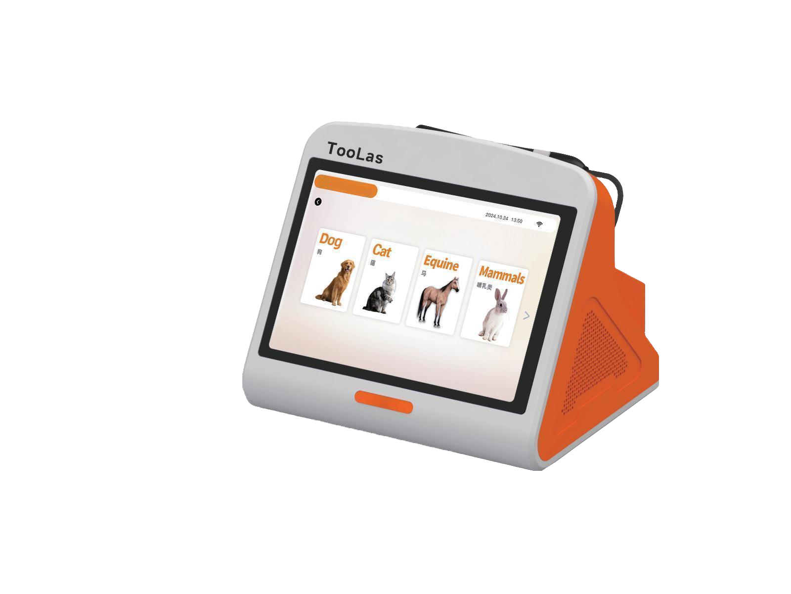 Laser Physiotherapy Therapy Device Veterinary Laser Equipment for Animal Use