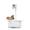 Veterinary Radiography System AVM-10