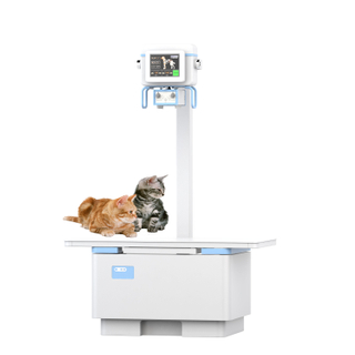Veterinary Radiography System AVM-10
