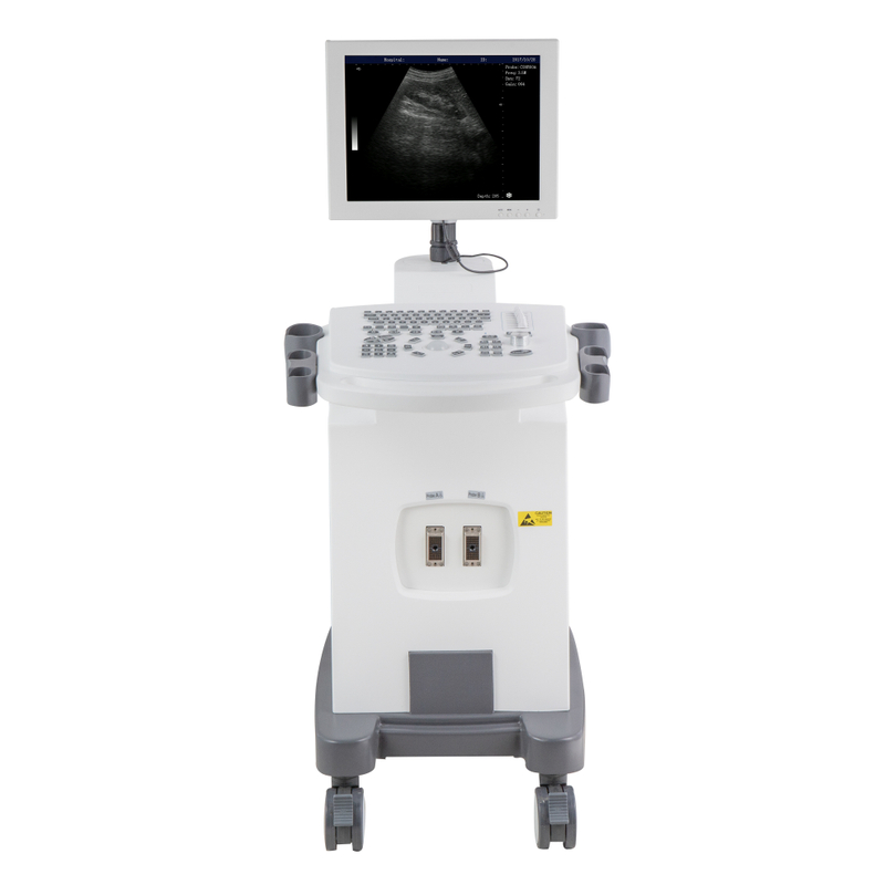 ARM-350BWT ultrasound machine