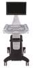 Mobile Color Doppler AU-330
