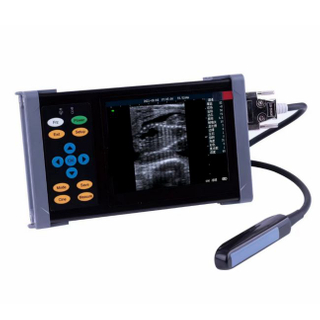 Full Digital Veterinary Ultrasonic Diagnostic Instrument AU-BV20