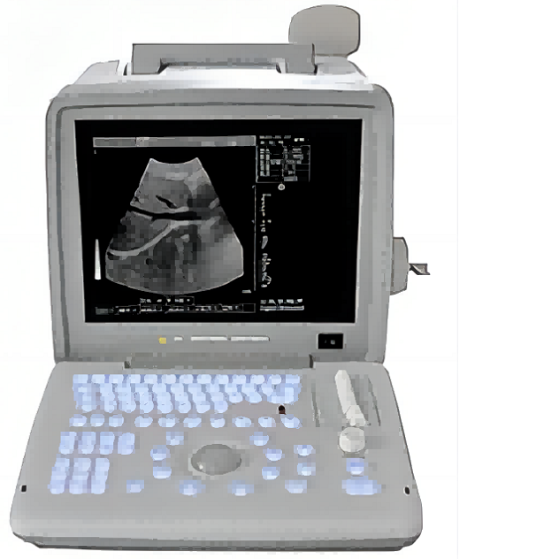 Portable B/W Ultrasound Machine AU-400S