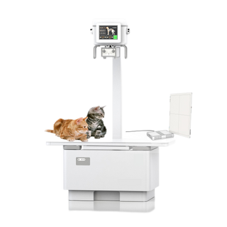 Veterinary Digital Radiography System AVM-DR10