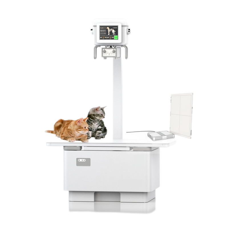 Veterinary Digital Radiography System AVM-DR10