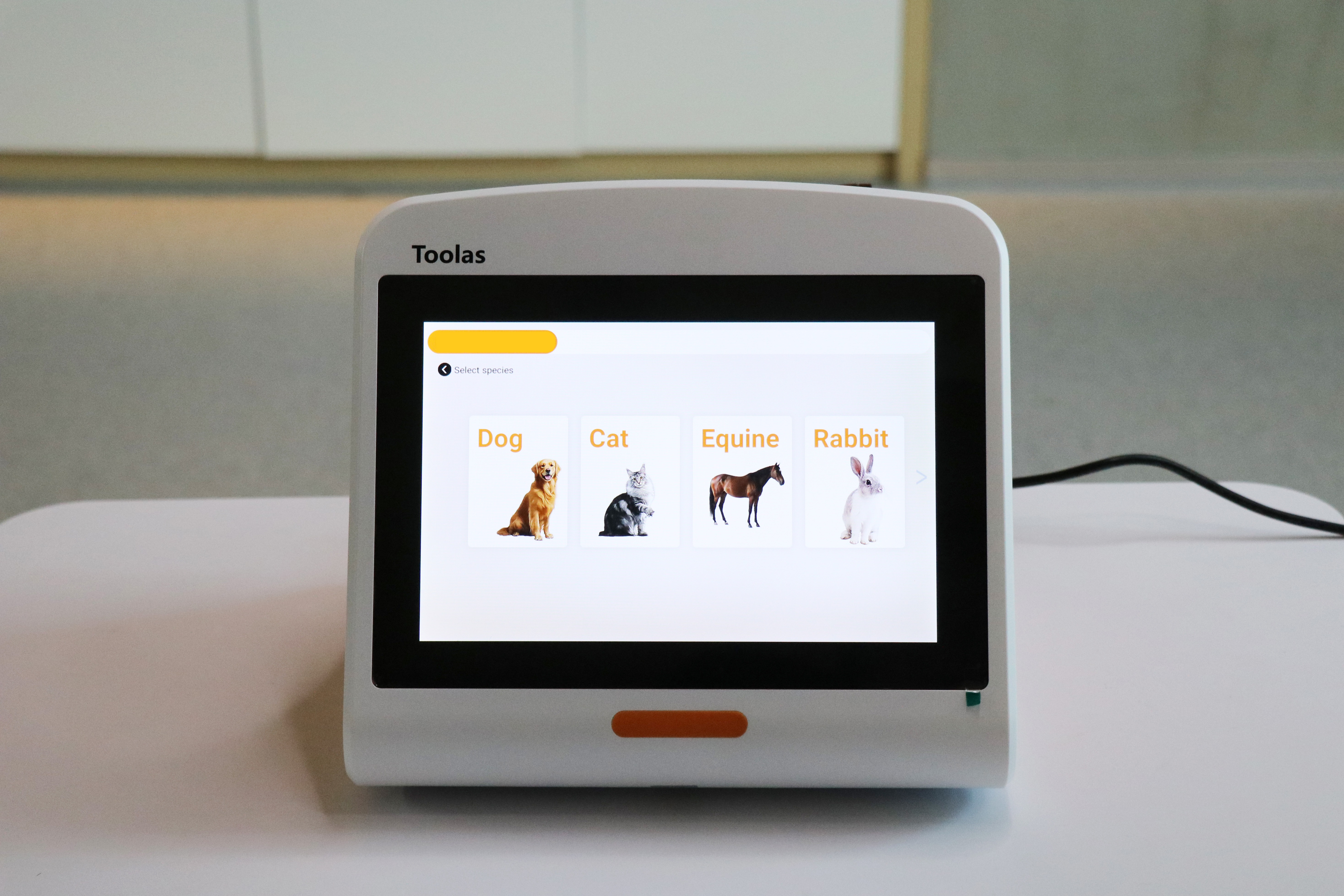 Laser Physiotherapy Therapy Device Veterinary Laser Equipment for Animal Use
