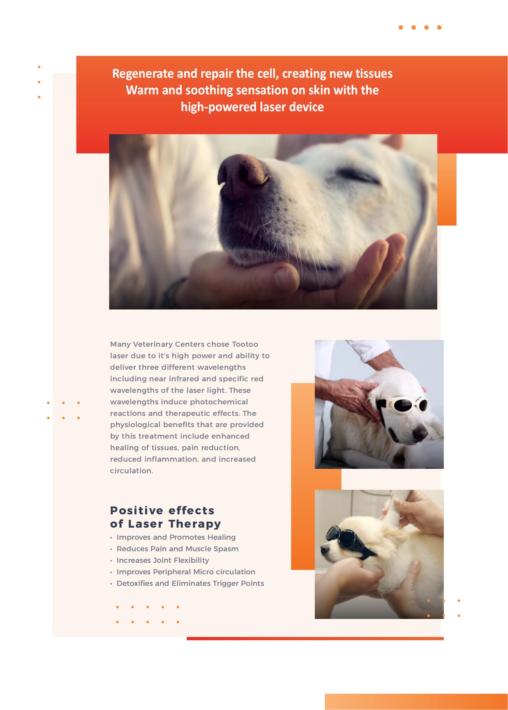 英文彩页 APOLLO Laser Therapy_02